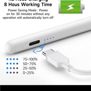 Stylus Pen for Tablets with Palm Rejection